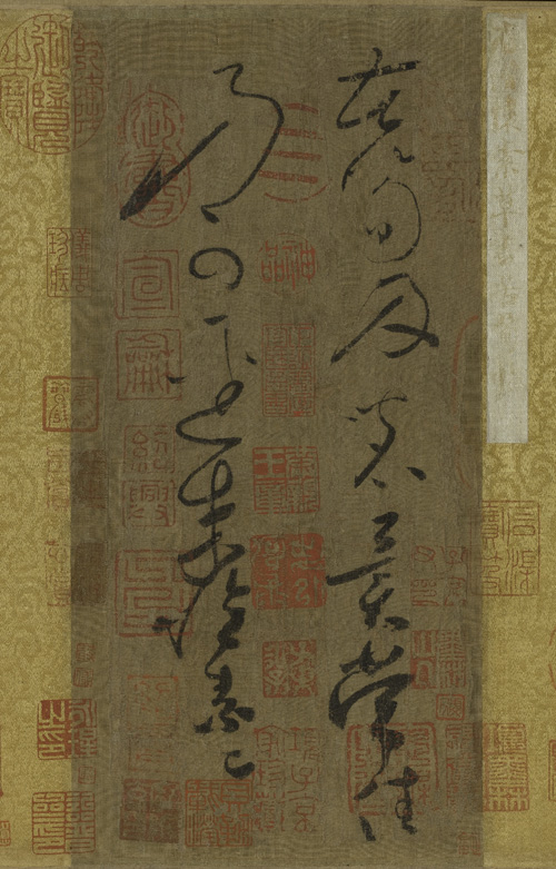 ز顶